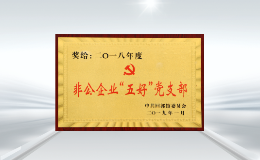 回(huí)郭鎮非公企業五好黨支部