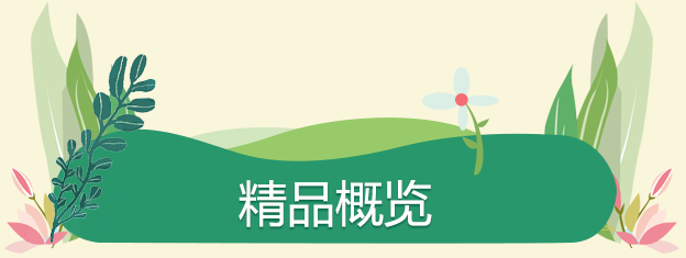 精（jīng）品概覽
